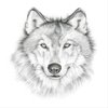 Avatar of TolyaFilat