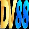 Avatar of dv88