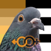 Avatar of Fugn_Pigeon