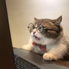 Avatar of ComputerCat