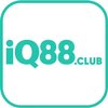 Avatar of iq88club