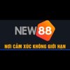 Avatar of Nhà cái NEW88