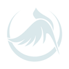 Avatar of chimcanhquytranqn