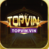 Avatar of topvinvin