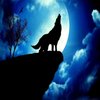 Avatar of wolfdream
