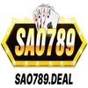 Avatar of SAO789