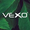 Avatar of Vexo International