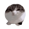 Avatar of Silly Billy