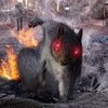 Avatar of crolar2015