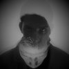 Avatar of DCOTART