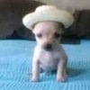 Avatar of monolito42266