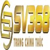 Avatar of sv368b