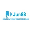 Avatar of jun881vcom