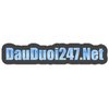 Avatar of Đầu Đuôi 247 - Website Soi cầu 247 miễn phí