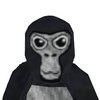 Avatar of lawsonstanley000