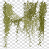 Avatar of \bnchgfdhgv