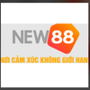Avatar of new8838net