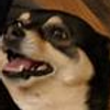 Avatar of AntKiller_7243