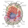 Avatar of ostap910