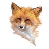 Avatar of FoxEloquent