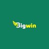 Avatar of Bigwin Casino