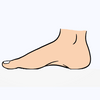 Sketchfab profile picture for @Podiatrist