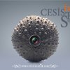 Avatar of cesis3d