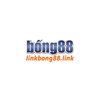 Avatar of linkbong88link