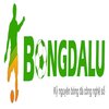 Avatar of Bongdalu 2