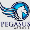 Avatar of pegasuswaterfl