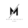Avatar of Mesh-Magnet