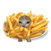 Avatar of FrenchFriesXD