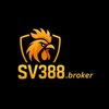 Avatar of sv388broker