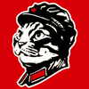 Avatar of cat_barsok
