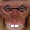 Avatar of nerduss