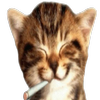 Avatar of lvmyswag47