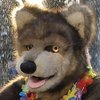 Avatar of SimpleWolf