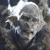 Avatar of mamamoneta