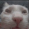 Avatar of millermeln