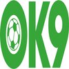 Avatar of ok9studio