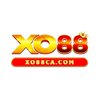 Avatar of xo 88