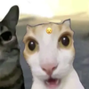 Avatar of MELLY