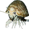 Avatar of Bismyth