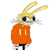 Avatar of springamer31