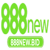 Avatar of 888Newbid2025