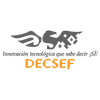 Avatar of DECSEF SISTEMAS