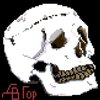 Avatar of DVGorohov