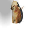 Avatar of thanh021109