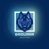Avatar of saidumar