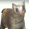 Avatar of osrr